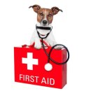 두리틀동물병원 이미지