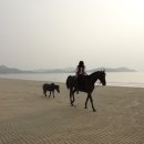 대광민박 이미지