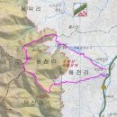 용전교 Daum카페