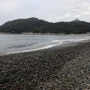 미라리 상록수림 해변 이미지