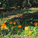 또와목장 이미지