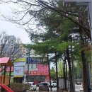 진부동산공인중개사사무소 | 관평동아파트 주변의 숨겨진 부동산 전문가, 송강동 대박공인중개사사무소 이야기