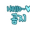 참조은펫 이미지