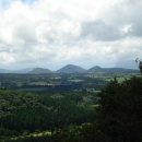 웅지2농장 이미지