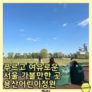 푸르름이 있는 한적한 서울공원 서울가볼만한곳 데이트코스 용산어린이정원