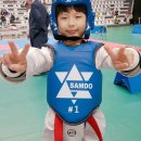 이태훈태권도 이미지