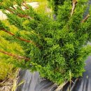 기주농장 이미지