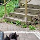 김약국 | 통영 혼자여행