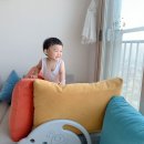 야니랜드 이미지