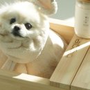 몽스파