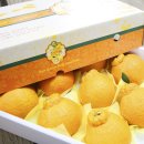 맛조아농장 이미지