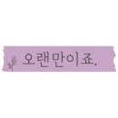 슨슨카페 이미지