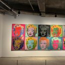 아라리오뮤지엄 탑동시네마 이미지