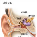 광교보청기 이미지