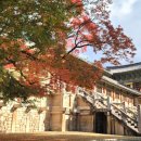 통일전 | 경주 단풍여행 명소 (불국사, 통일전, 경북 천년숲 정원)방문후기