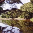 明鏡止水