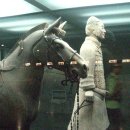 동서교역 이미지