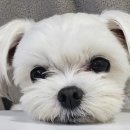 글라스바바안경 일산동구청점 이미지