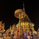 명상(야간) | 치앙마이 도이수텝 + 왓우몽사원 야간투어 솔직 후기 (소소한 팁)