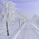 겨울나그네 이미지