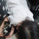 맘스터치 경산역점 이미지