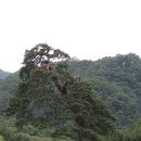 육단3리(문수동) 이미지