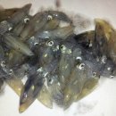 속천방파제 이미지