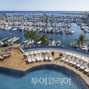 프린스 이미지