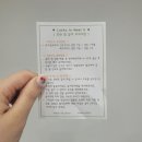 럭투밋(Lucky to meet U) | 강아지 생일 선물 개린이날 간식 선물 추천