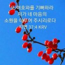 부흥사 이미지