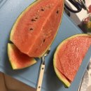 6월 이마트 세일템 추천! 고래잇페스타 쇼핑리뷰 &amp; 저녁 한상🍖🍜🍉