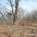 모아2리 이미지