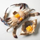 108.롯데마트_2 이미지