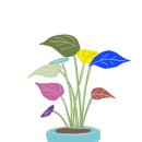 성짓골도서관 이미지