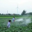 친환경 소독약 이미지