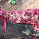 대박낚시터 이미지