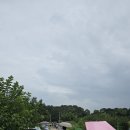 여주-0806 Daum카페