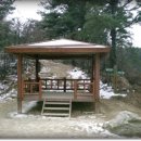 여우쉼터 이미지