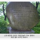 진홍청과