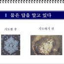 육각수 카카오 검색결과