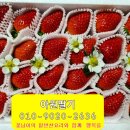 아원농장 이미지