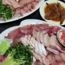 벌교제일수산 | 강서구 수산시장 대방어 맛집 쌍둥이벌교횟집 (2024 대방어 가격 / 시세 / 주차)
