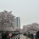 박순자아우내순대 이미지