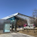 흥국생명 첫 배구직관 후기 삼산월드체육관 A1 구역 시야, 코보 티켓 예약 방법