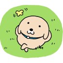 정만경 이미지