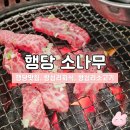 소나무 | 왕십리회식 맛집 | 행당 소나무 소갈비살 솔직후기