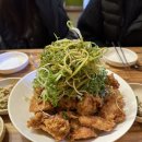 모리도리네집 이미지