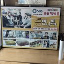 백설기 | 일산 떡집 추천 《종로떡방》 틈만나면 방송 나온 떡집! 백설기부터 쑥개떡까지 후기!
