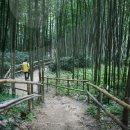 죽향민박 이미지