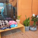 이시아이비인후과의원 | 일상:) 휴일을 제대로 보내는 법,동성로 옷가게 마츠하나,수성못나그놀,가게루프탑정리,교동카페마타마타